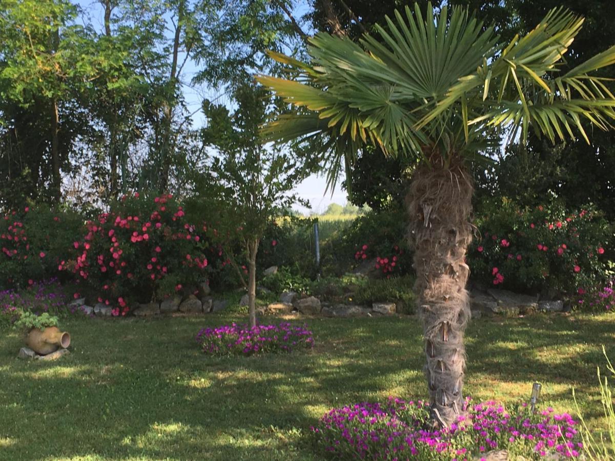 Appartement mansardé et climatisé 50 m2 Pompignan  Exterior foto